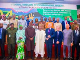 Balarabe Advocates for Protection of Digital Ecosystem